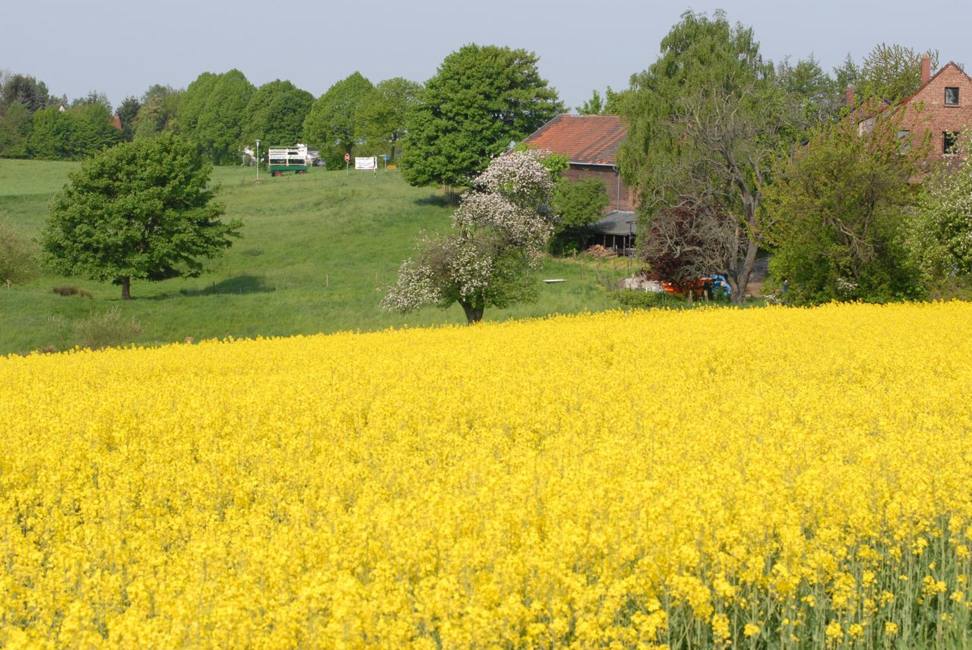 Apartment Close To Nature,Airport, Fair Ratingen Esterno foto